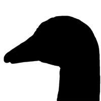 The Gander logo, The Gander contact details