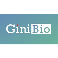 Gini Technology Corporation logo, Gini Technology Corporation contact details