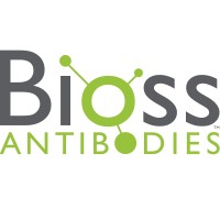 Bioss USA Antibodies logo, Bioss USA Antibodies contact details