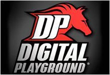 Digital Playground Inc logo, Digital Playground Inc contact details