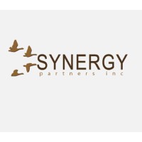 Synergy Partners Inc logo, Synergy Partners Inc contact details