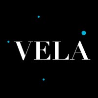 VELA Wealth Management Inc. logo, VELA Wealth Management Inc. contact details