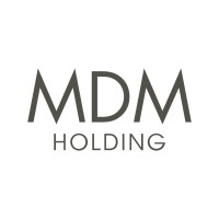 MDM Group Holding logo, MDM Group Holding contact details