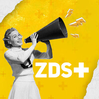 ZDS Agency logo, ZDS Agency contact details