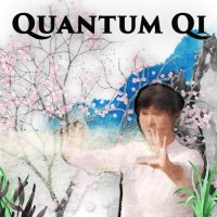 Quantum Qi Documentary Series logo, Quantum Qi Documentary Series contact details