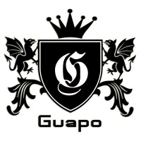 Guapo LTD logo, Guapo LTD contact details