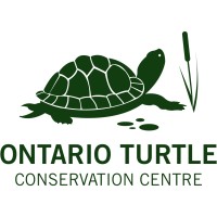 Ontario Turtle Conservation Centre logo, Ontario Turtle Conservation Centre contact details