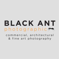 Black Ant • Photographic logo, Black Ant • Photographic contact details