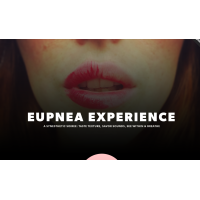 EUPNEA Experience logo, EUPNEA Experience contact details