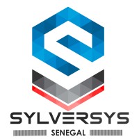 SYLVERSYS Consulting International logo, SYLVERSYS Consulting International contact details