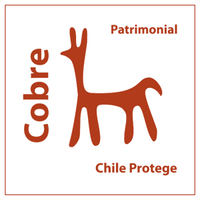 Chileprotege logo, Chileprotege contact details