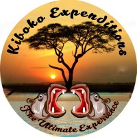 Kiboko Expeditions Limited logo, Kiboko Expeditions Limited contact details