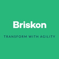 Briskon Technologies Pvt Ltd logo, Briskon Technologies Pvt Ltd contact details