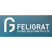 Feligrat Global Solutions Pvt. Ltd logo, Feligrat Global Solutions Pvt. Ltd contact details