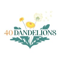 40 Dandelions logo, 40 Dandelions contact details