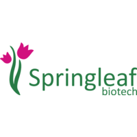 Springleaf Biotech logo, Springleaf Biotech contact details