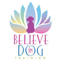 Believe in DOG Training logo, Believe in DOG Training contact details