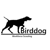 Birddog Workforce Scouting logo, Birddog Workforce Scouting contact details