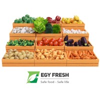 Egy Fresh logo, Egy Fresh contact details