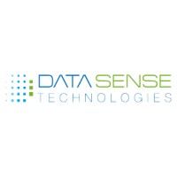 Datasense Technologies logo, Datasense Technologies contact details