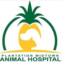 Plantation Midtown Animal Hospital logo, Plantation Midtown Animal Hospital contact details