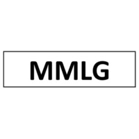 SERVICIOS Y TRANSPORTES MMLG logo, SERVICIOS Y TRANSPORTES MMLG contact details