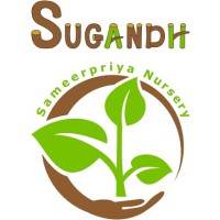 Sugandh & Sameerpriya Nursery logo, Sugandh & Sameerpriya Nursery contact details