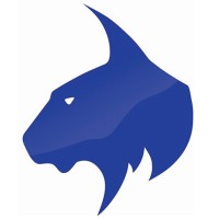 Blue Lynx | Technology Solutions logo, Blue Lynx | Technology Solutions contact details