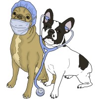 Pittsfield Veterinary Hospital logo, Pittsfield Veterinary Hospital contact details