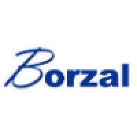 Borzal Consulting logo, Borzal Consulting contact details