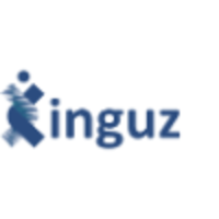 Inguz Servicios de Consultoría logo, Inguz Servicios de Consultoría contact details