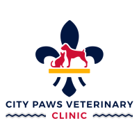 City Paws Veterinary Clinic logo, City Paws Veterinary Clinic contact details