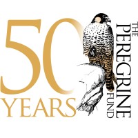 The Peregrine Fund logo, The Peregrine Fund contact details