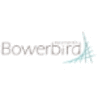 Bowerbird Ingeniería SA de CV logo, Bowerbird Ingeniería SA de CV contact details