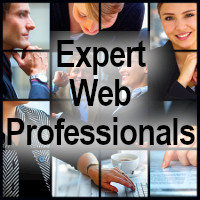 Expert Web Professionals logo, Expert Web Professionals contact details