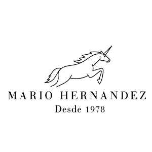 Mario Hernandez México logo, Mario Hernandez México contact details