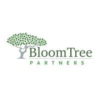 Bloom Tree Partners LLC logo, Bloom Tree Partners LLC contact details