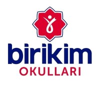 Birikim Okulları logo, Birikim Okulları contact details