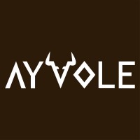 Ayvole logo, Ayvole contact details