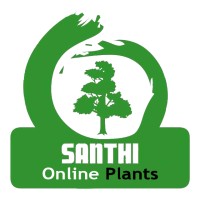 Santhi Plant Biotech & Clonal Nursery Pvt. Ltd. logo, Santhi Plant Biotech & Clonal Nursery Pvt. Ltd. contact details