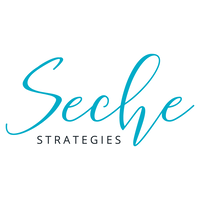 Seche Strategies logo, Seche Strategies contact details