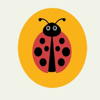 TheLostBugs logo, TheLostBugs contact details