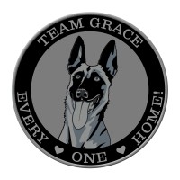 Team Grace (The Monkey Intrepid, LLC dba Team Grace) logo, Team Grace (The Monkey Intrepid, LLC dba Team Grace) contact details