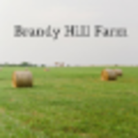 Brandy Hill Farm logo, Brandy Hill Farm contact details