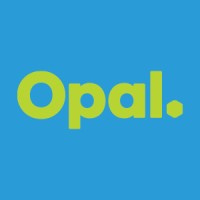 Opal Kiwi Packaging logo, Opal Kiwi Packaging contact details