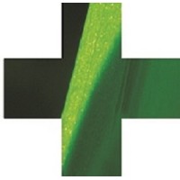 Green Cross, Incorporated logo, Green Cross, Incorporated contact details