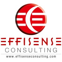 EffisenseConsulting logo, EffisenseConsulting contact details