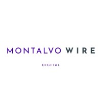 Montalvo Wire logo, Montalvo Wire contact details