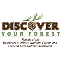 Discover Your Forest logo, Discover Your Forest contact details