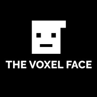 The Voxel Face logo, The Voxel Face contact details